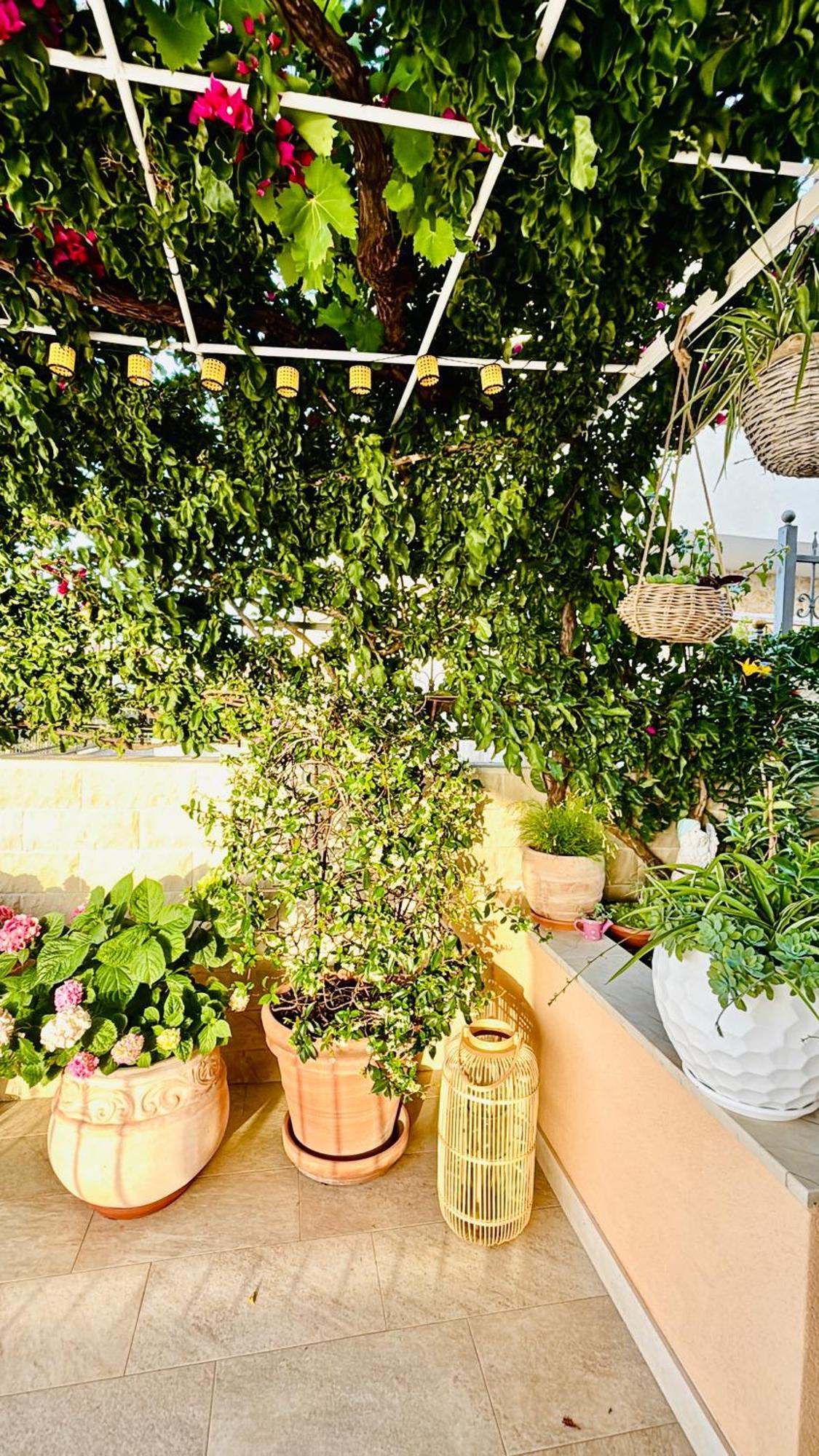 Sunny Elza 2 Appartement